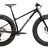 Fatbike