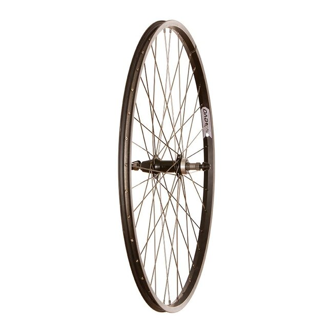 Wheel Shop, Evo Tour 20, Roue, Arrière, 700C / 622, Trous: 36, QR, 135mm, Sur jante, Roue libre