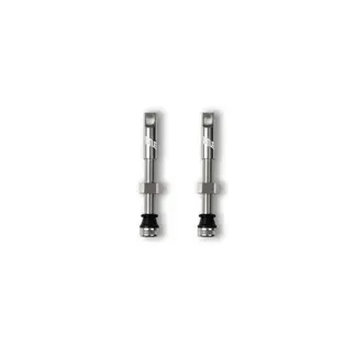 TITLE TITLE Tubeless valves - Chrome