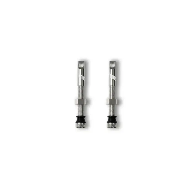 TITLE TITLE Tubeless valves - Chrome