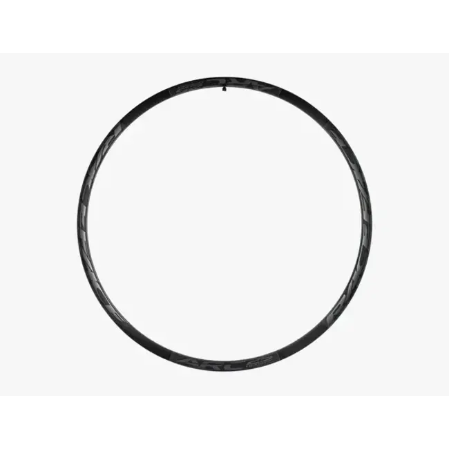 RIM ARC OFFSET 30 29'' 32H GRY 19