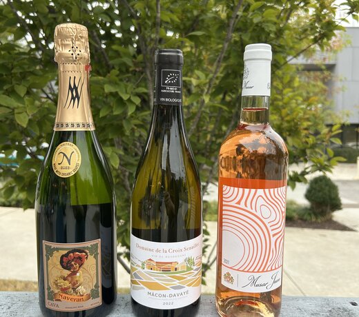 Gobble! Gobble! White