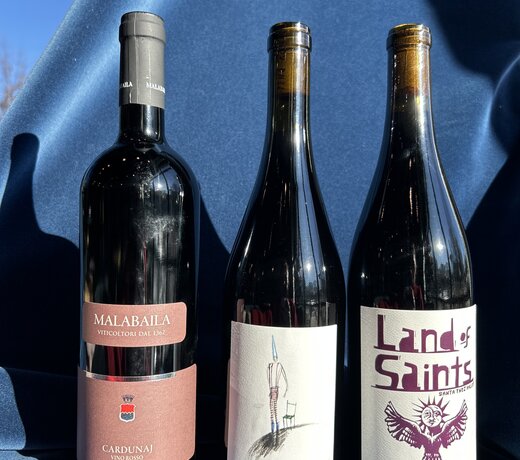 New Year New Wines- Red