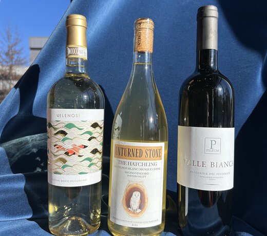 New Year New Wines- Whites