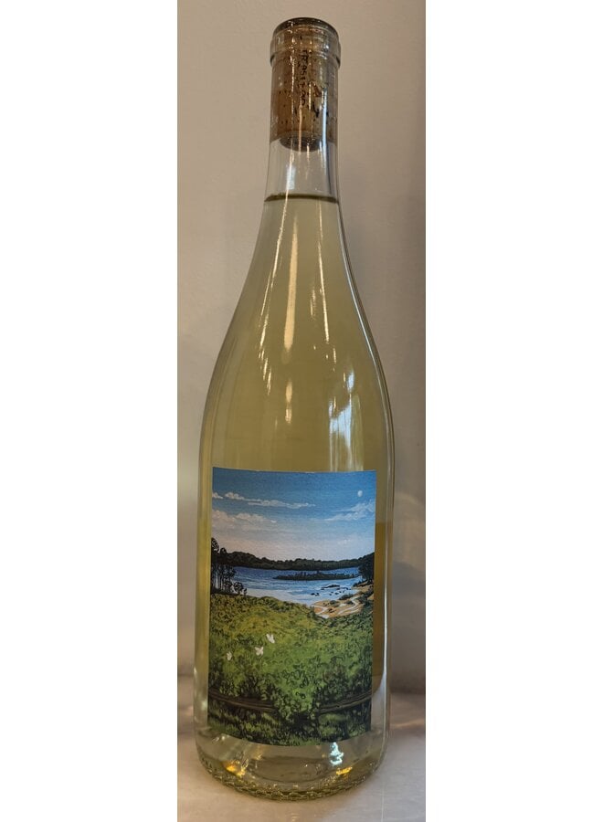 2024 Kelley Fox Albariño