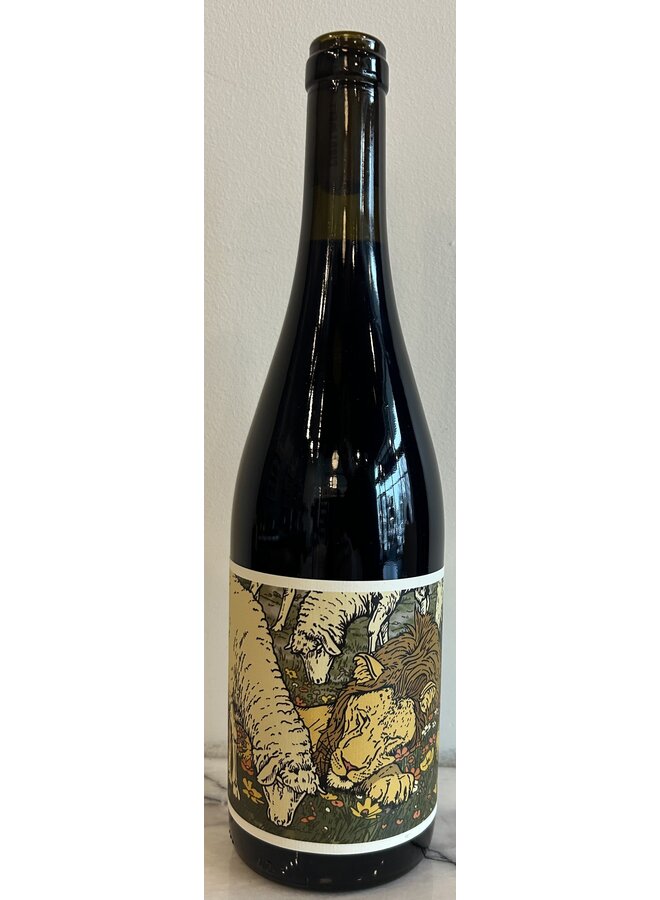 2024 Lightwell Survey Like a Lion Co-Ferment Red