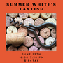 Summer White Wine Tasting