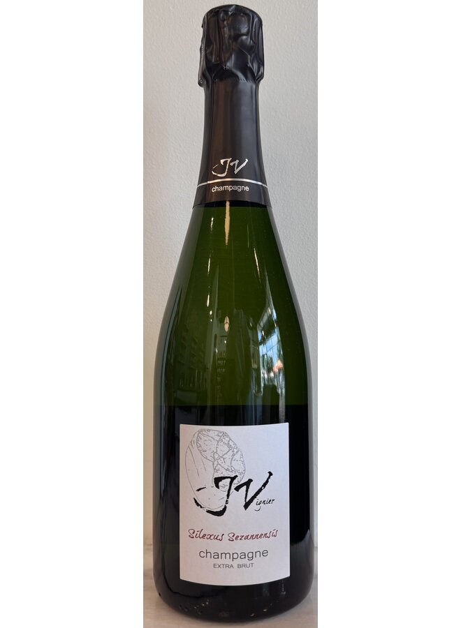 J.Vignier Silexus Sezannensis Brut