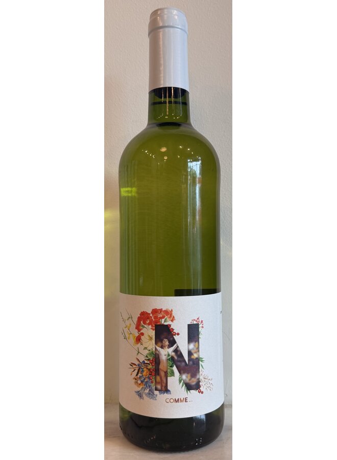 2024 Haut Lavigne Cotes de Duras Blanc