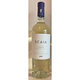 2025 Scaia Bianco