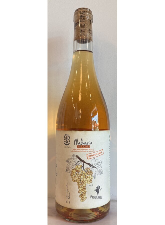 2025 Spiritus Terra Malvasia Orange