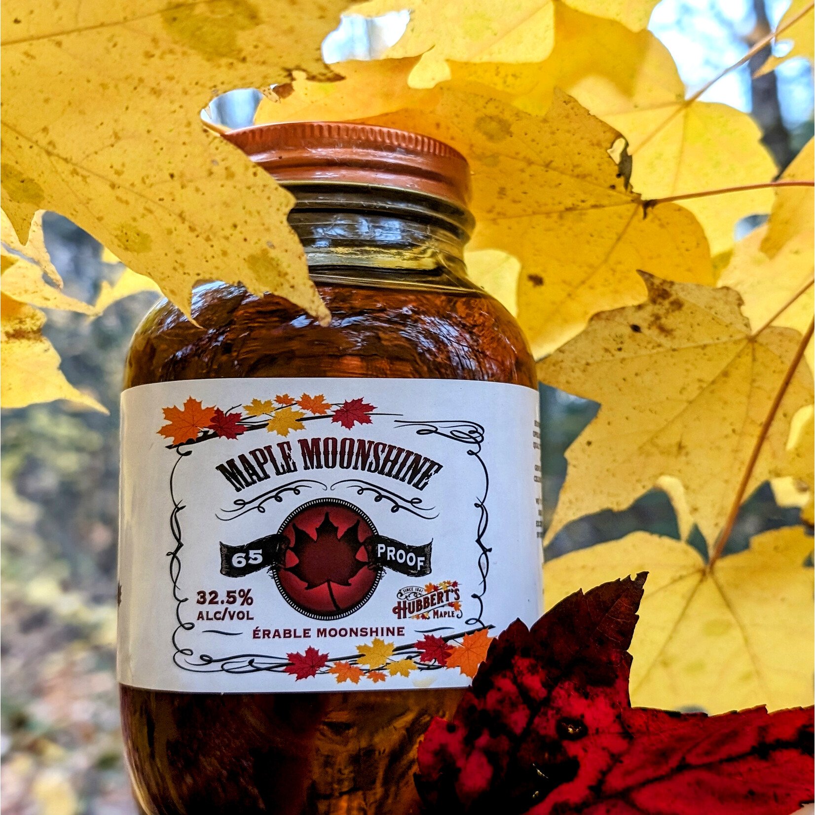 MAPLE MOONSHINE