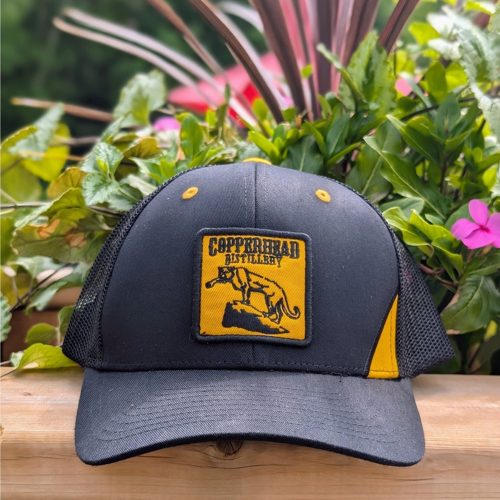 CAP AMERICA BLACK & GOLD IRONCAT CAP