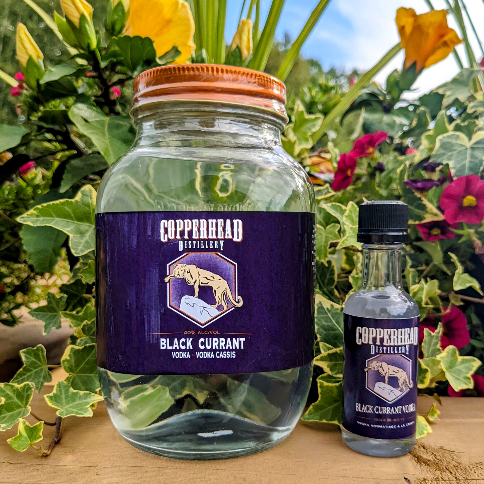 BLACK CURRANT VODKA