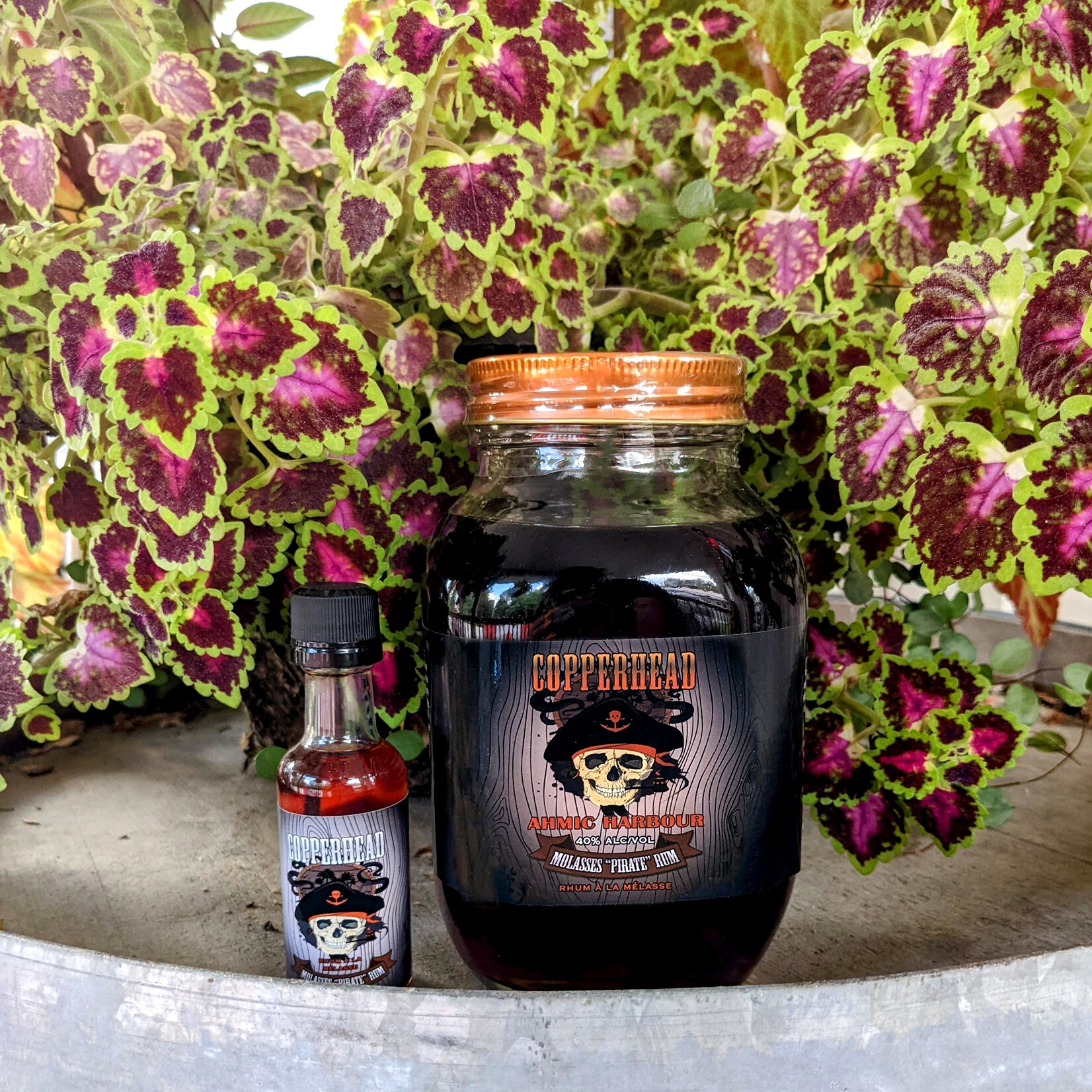 MOLASSES DARK RUM