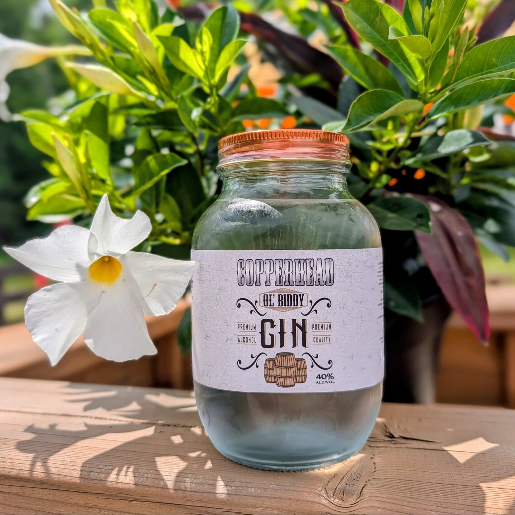 OL' BIDDY GIN