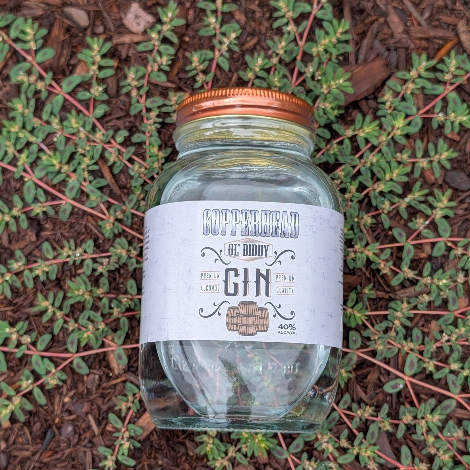 OL' BIDDY GIN