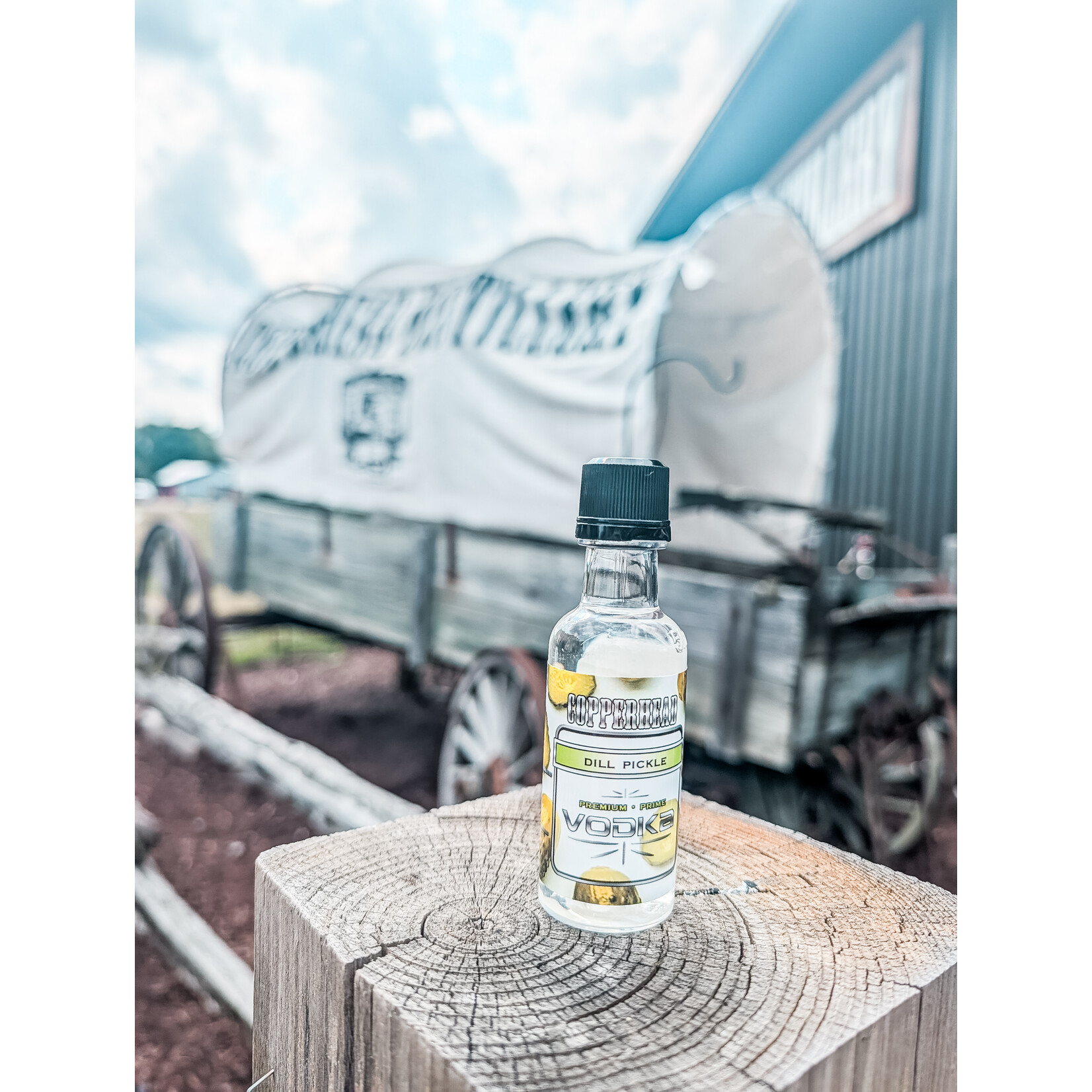 DILL PICKLE VODKA
