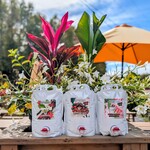 JUICE BAGS