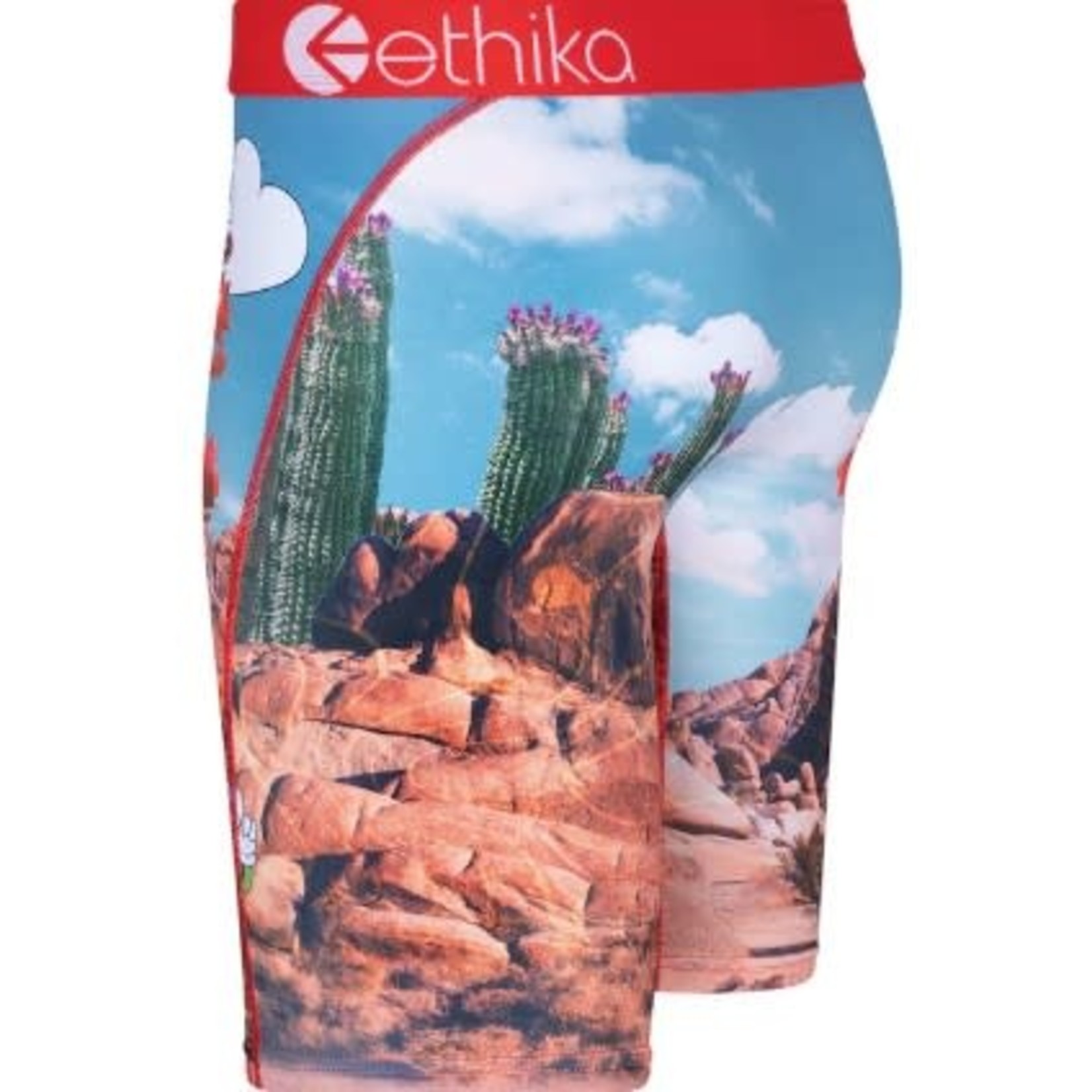 Ethika On The Rocks Boxer Briefs