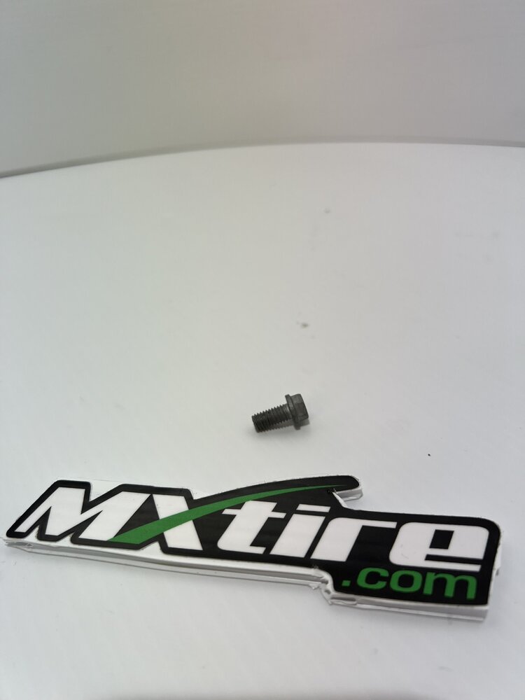 OEM FUEL TANK BOLT M6X13 0026060136