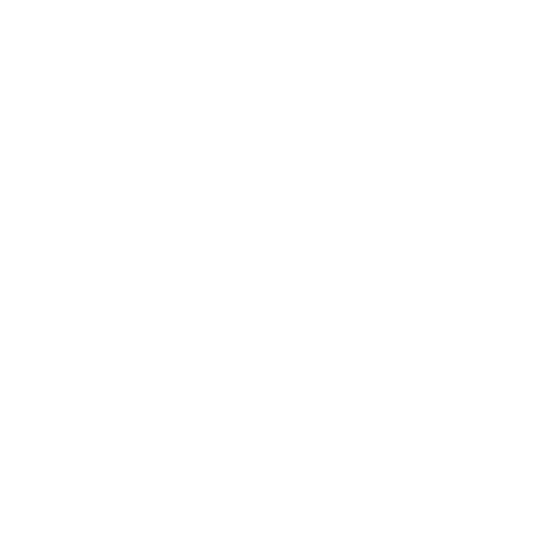 NGK BR10EIX NGK SPARK PLUG #6801/04