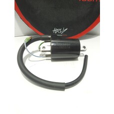 KTM / GASGAS / HUSQVARNA 58439006000 IGNITION COIL IG3826 KOKUSAN KTM 250-400 '96-'24