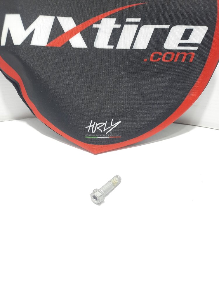 0025080206 CHAIN SLIDE BOLT COLLAR SCREW M8x20