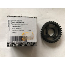 46233014000 IDLE GEAR 4.G 65 SX '09-'23