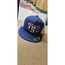 USA TEAM USA SNAPBACK