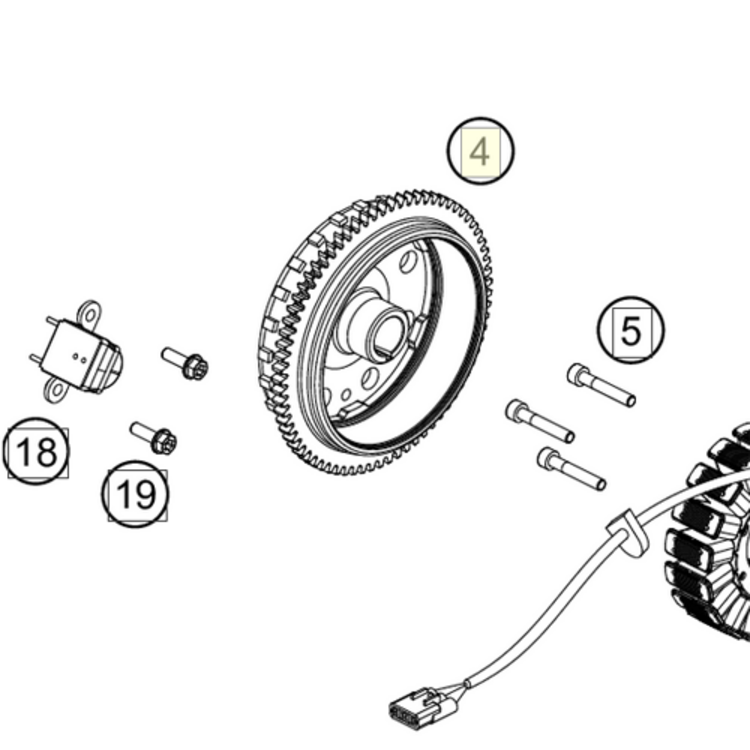 55539105000 ROTOR GAS GAS 250 300 EC EX '21-'23