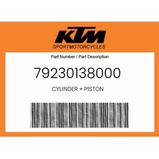 KTM / GASGAS / HUSQVARNA 79230138000 CYLINDER & PISTON KTM 350 EXC '17-'19
