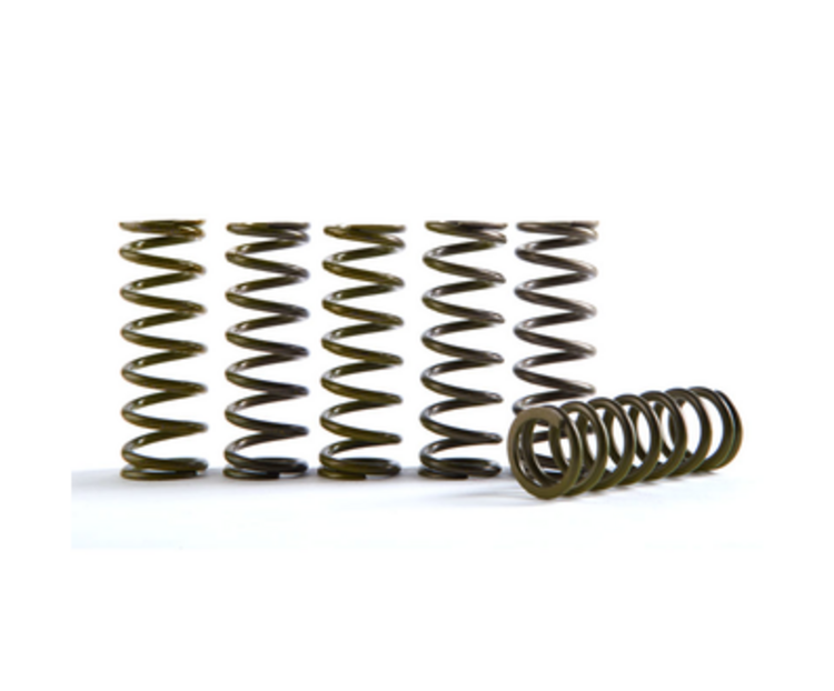HINSON CS HIGH TEMP SPRING 6 SPRING CS855-6-0116