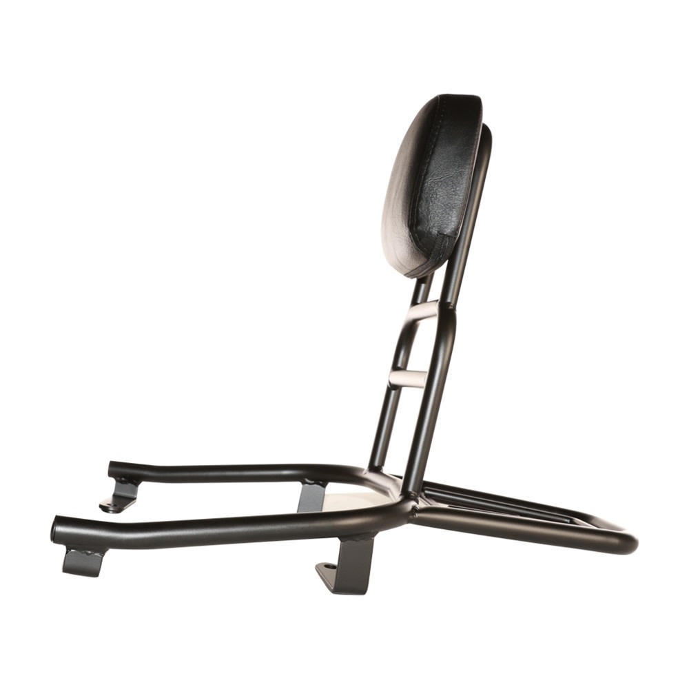 NIU Prima Rear Rack (Black, Backrest); NIU Nqi