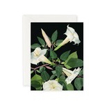 May We Fly Moonflowers Greeting Card