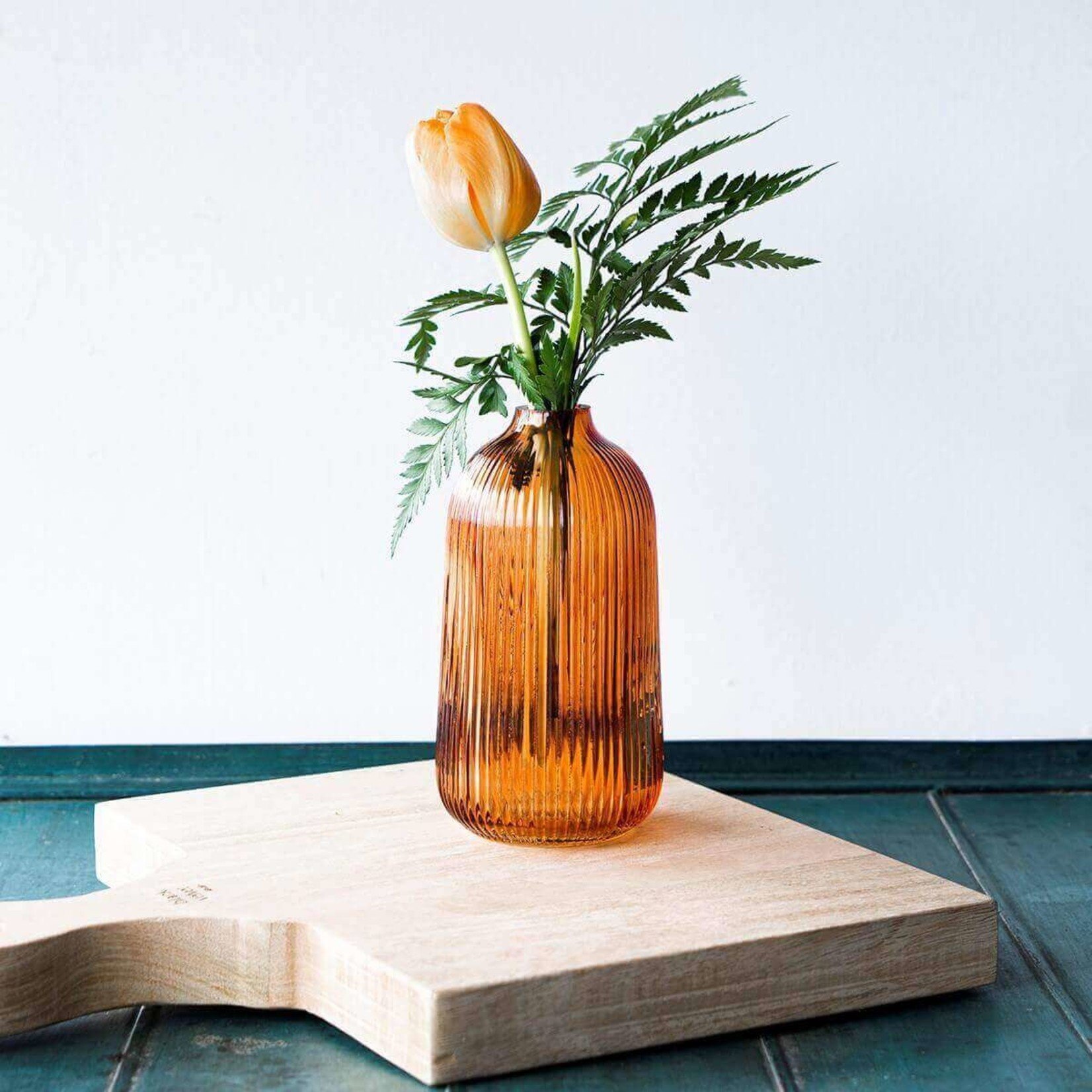 Black Velvet Studio Eucalyptus Bass Vase in Orange