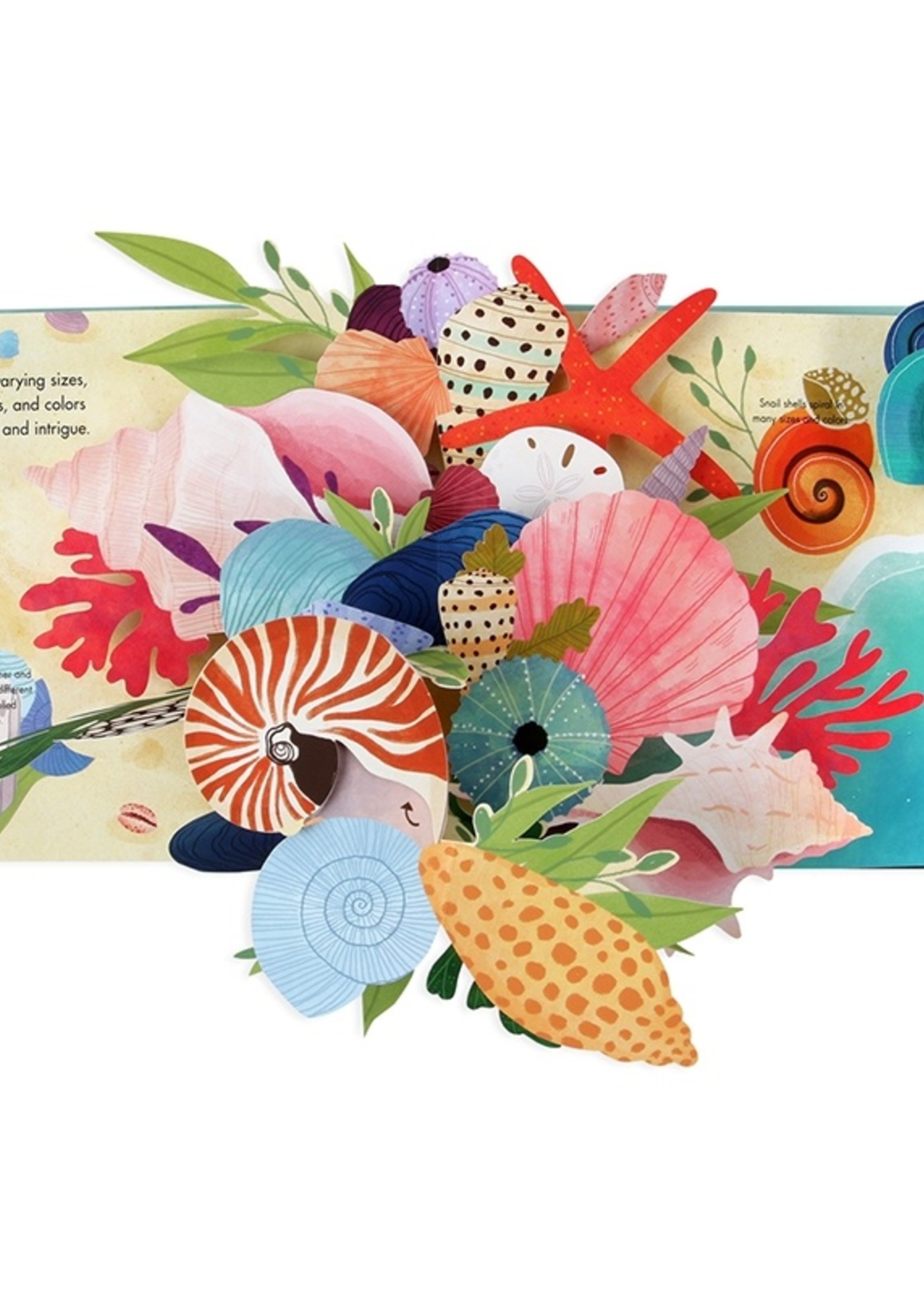 Up With Paper Shells: A Pop-Up Book Of Wonder