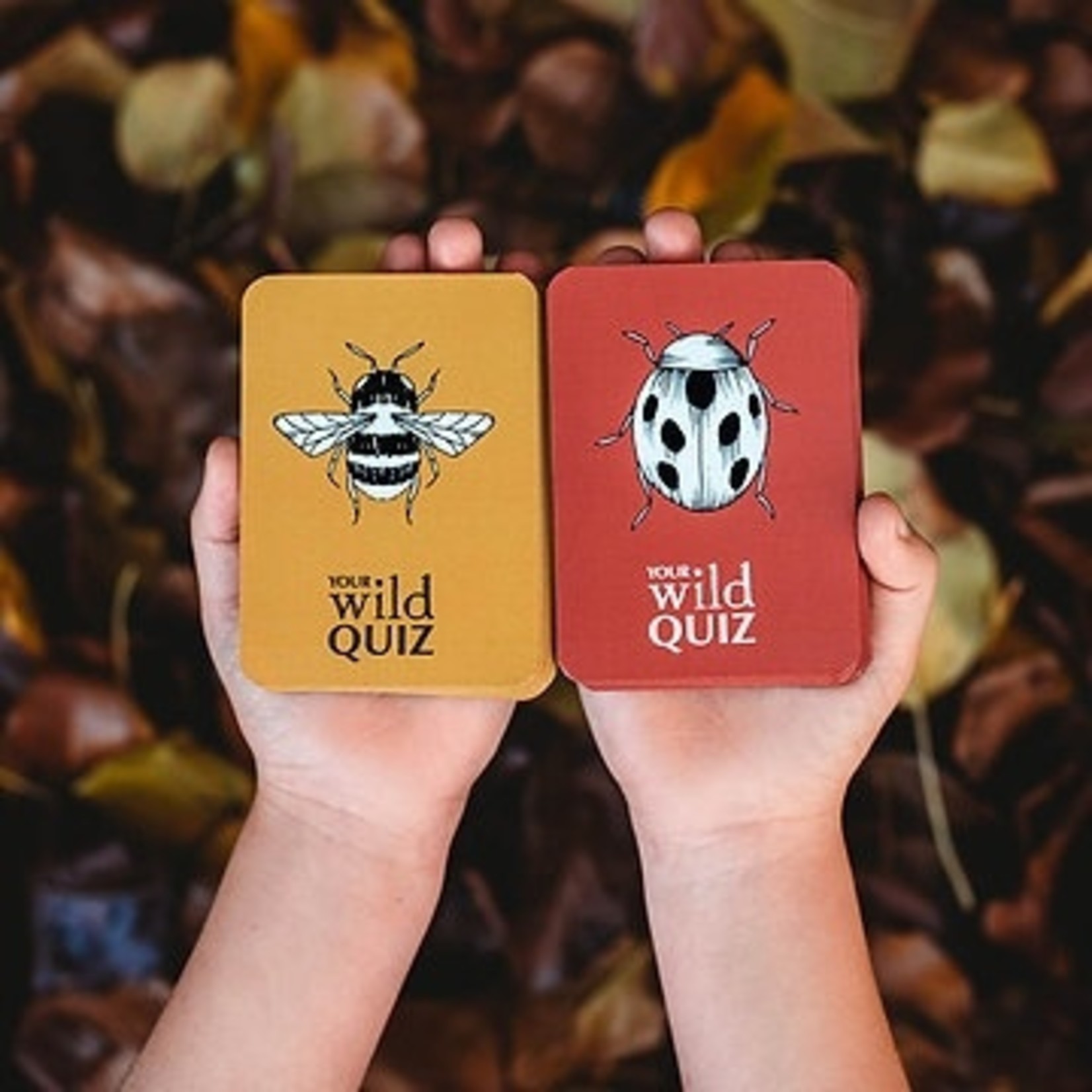 Your Wild Books Your Wild Quiz Card Game