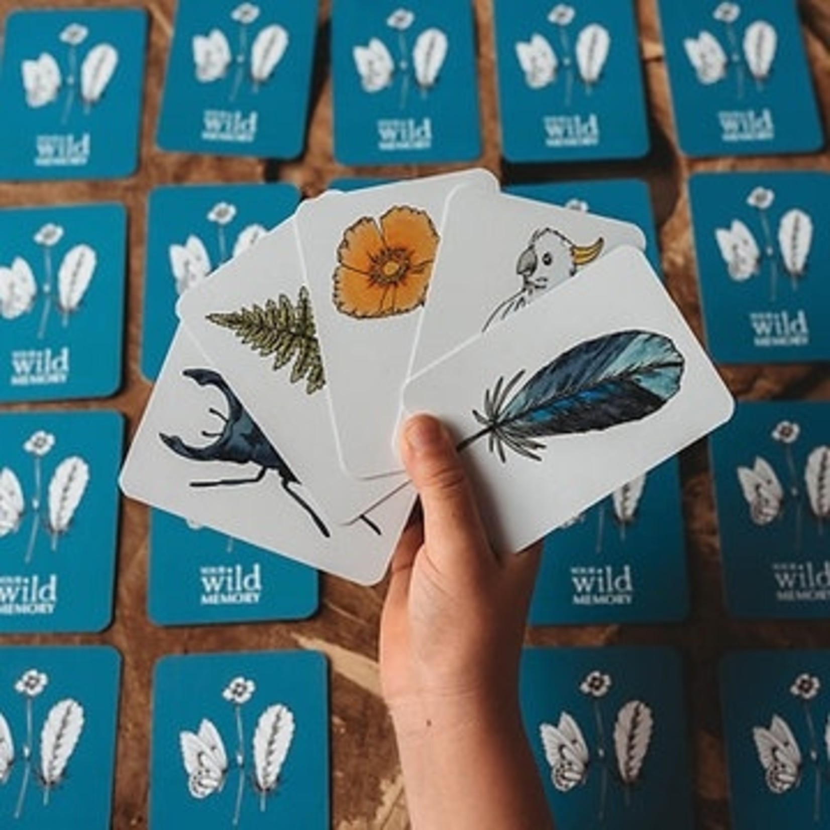 Your Wild Books Your Wild Memory Card Game