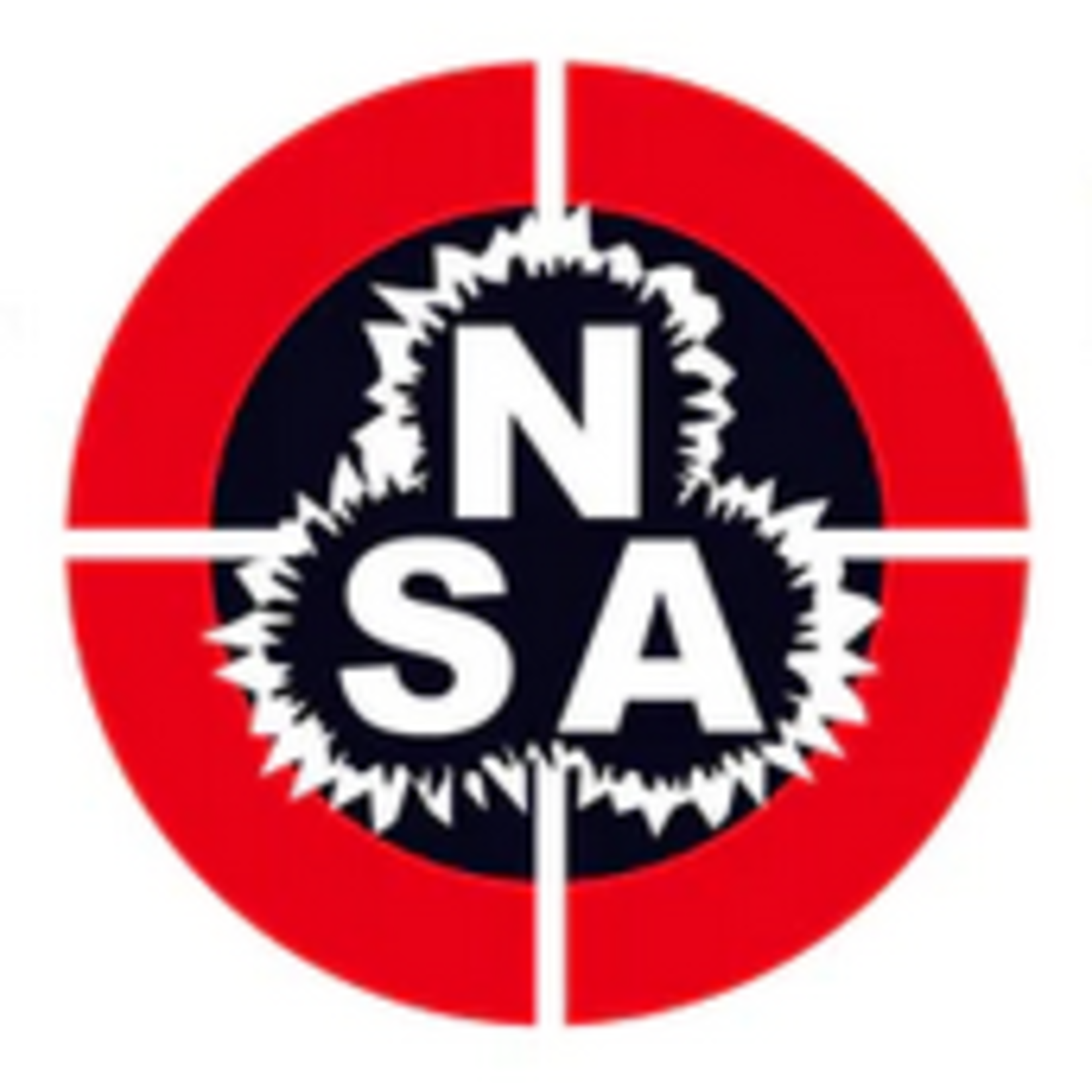 Nielson Specialty Ammo NSA .25cal Slugs