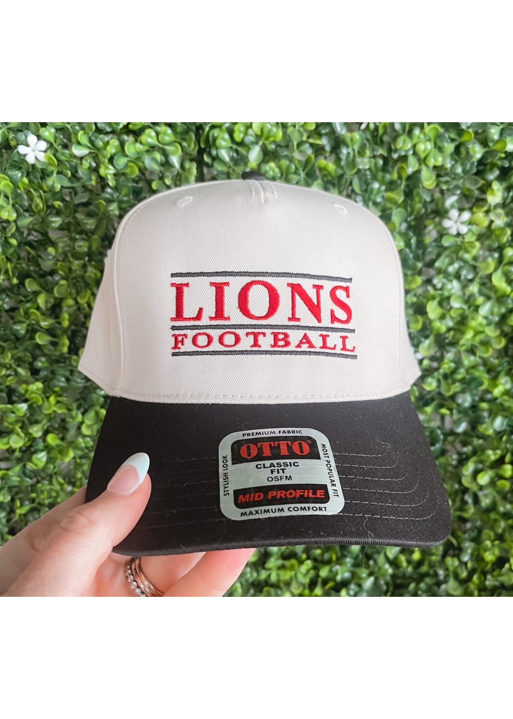 Vintage Albany Lions Football Hat