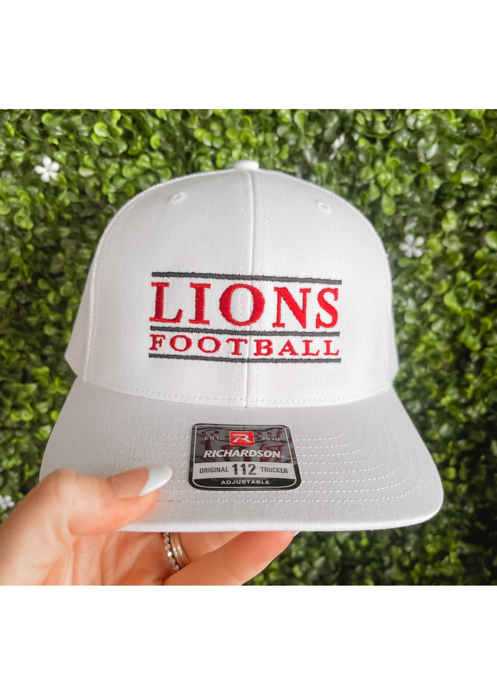 Vintage Albany Lions Football Hat
