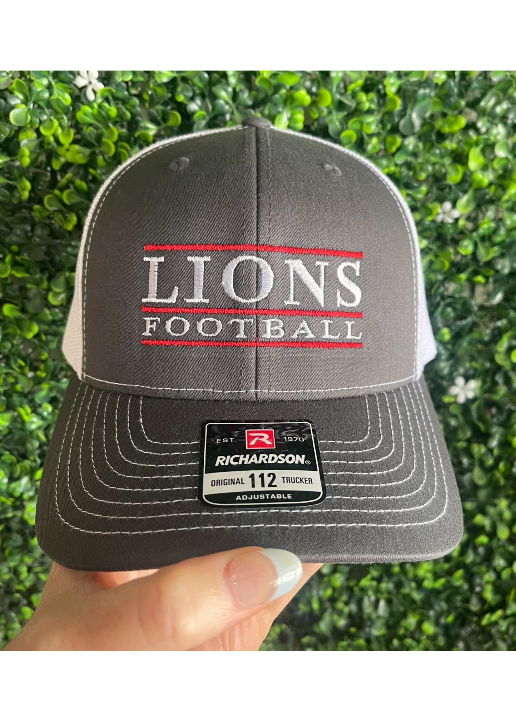 Vintage Albany Lions Football Hat