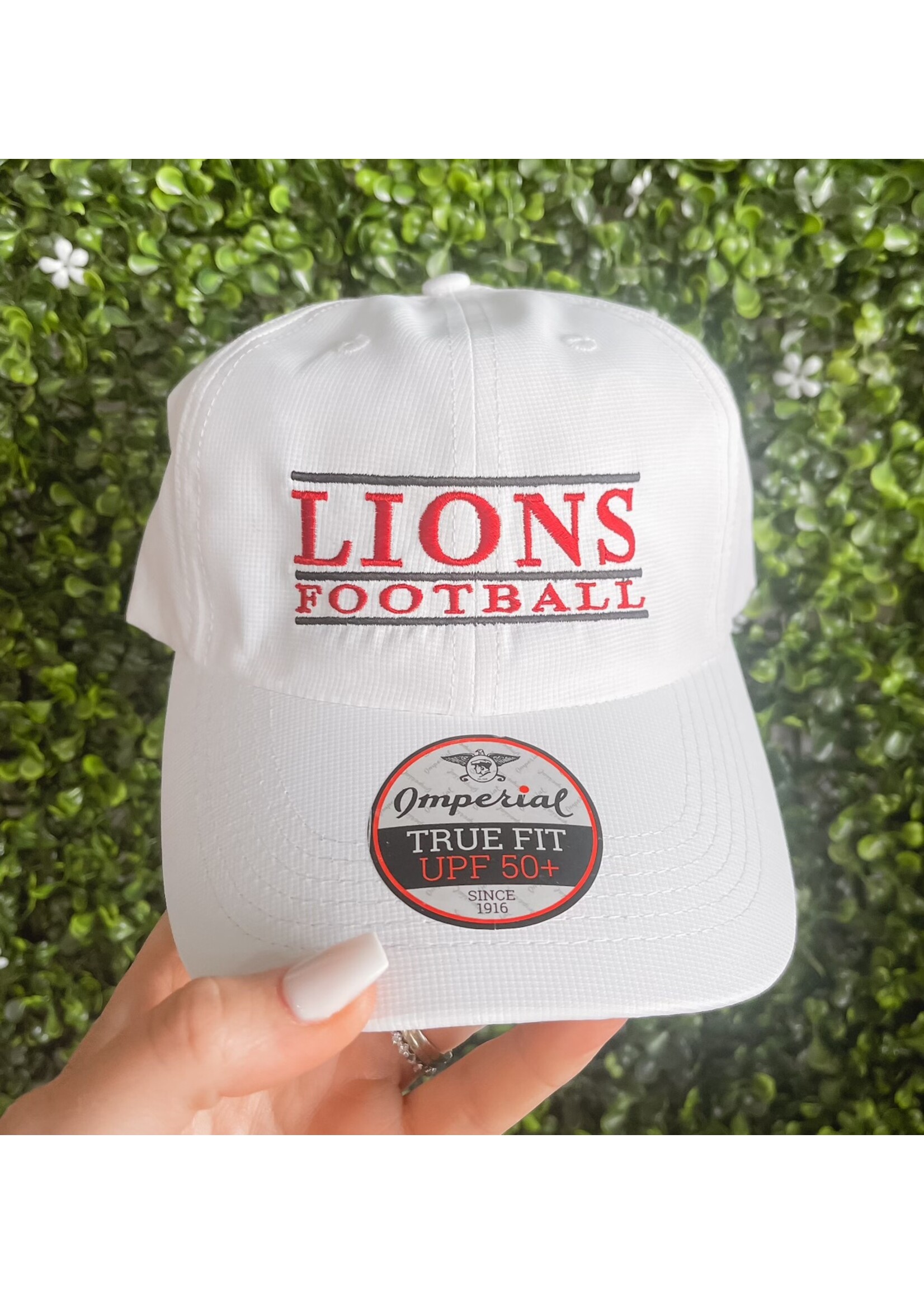 Vintage Albany Lions Football Hat