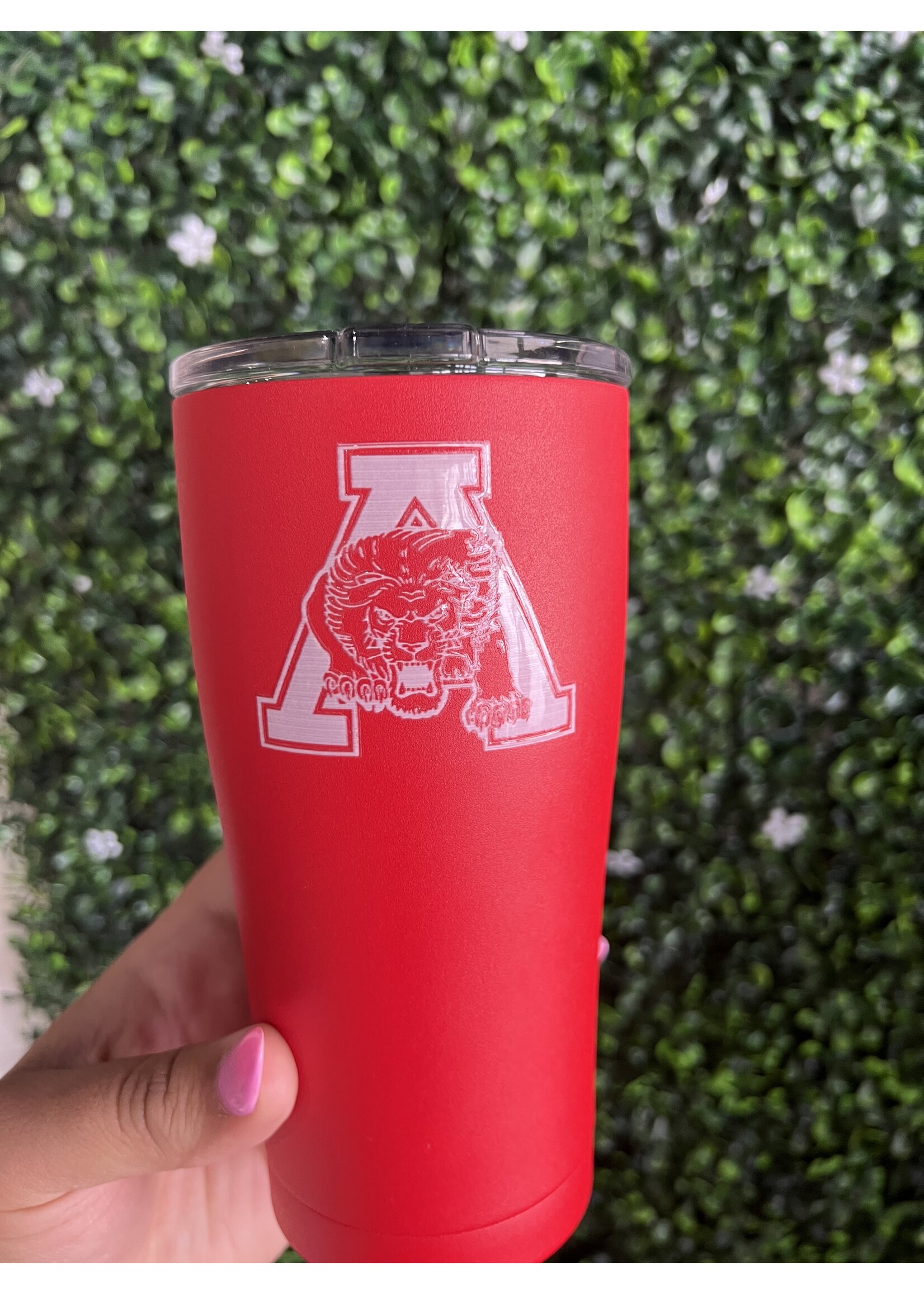 Albany Cup Decal