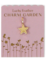 Star Charm