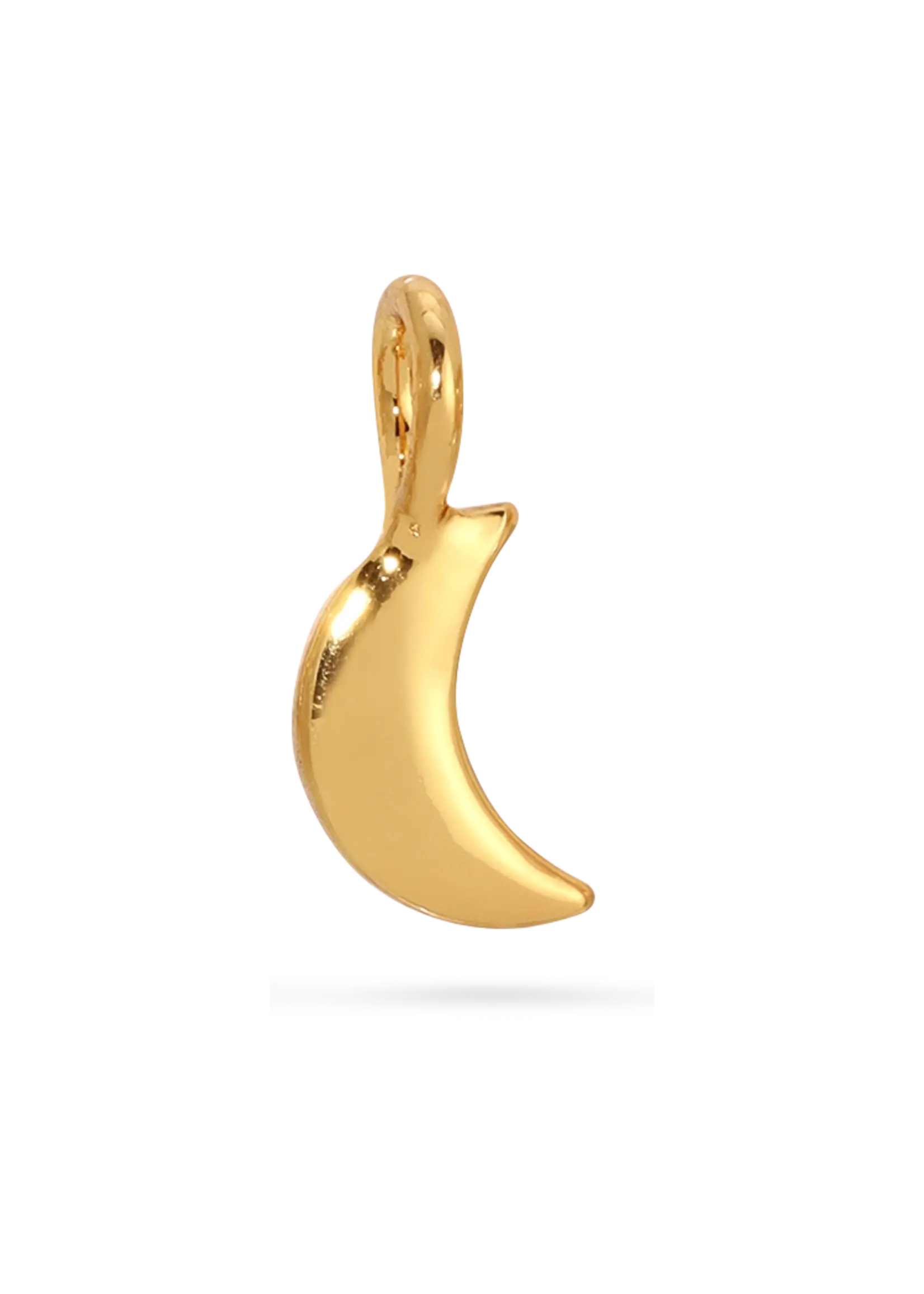 Moon Charm