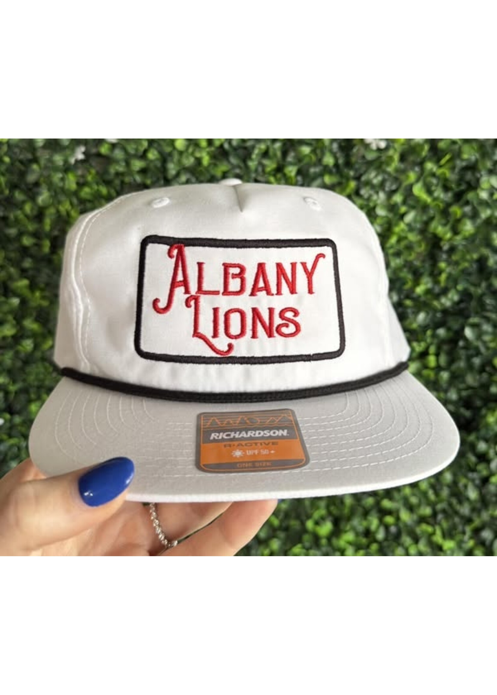 Albany Lions Sewn Patch 256