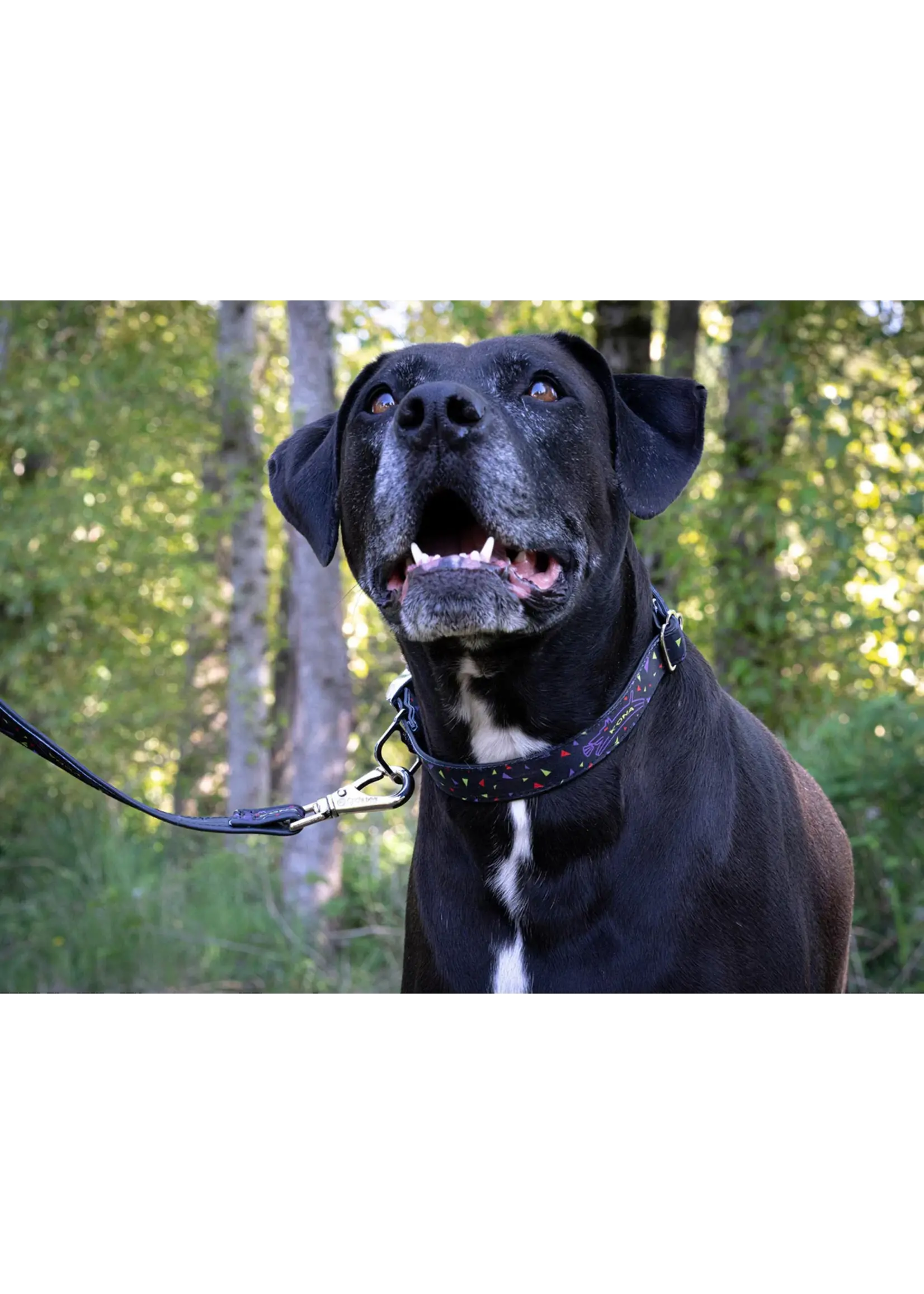 Kona Cycle Dog Leash