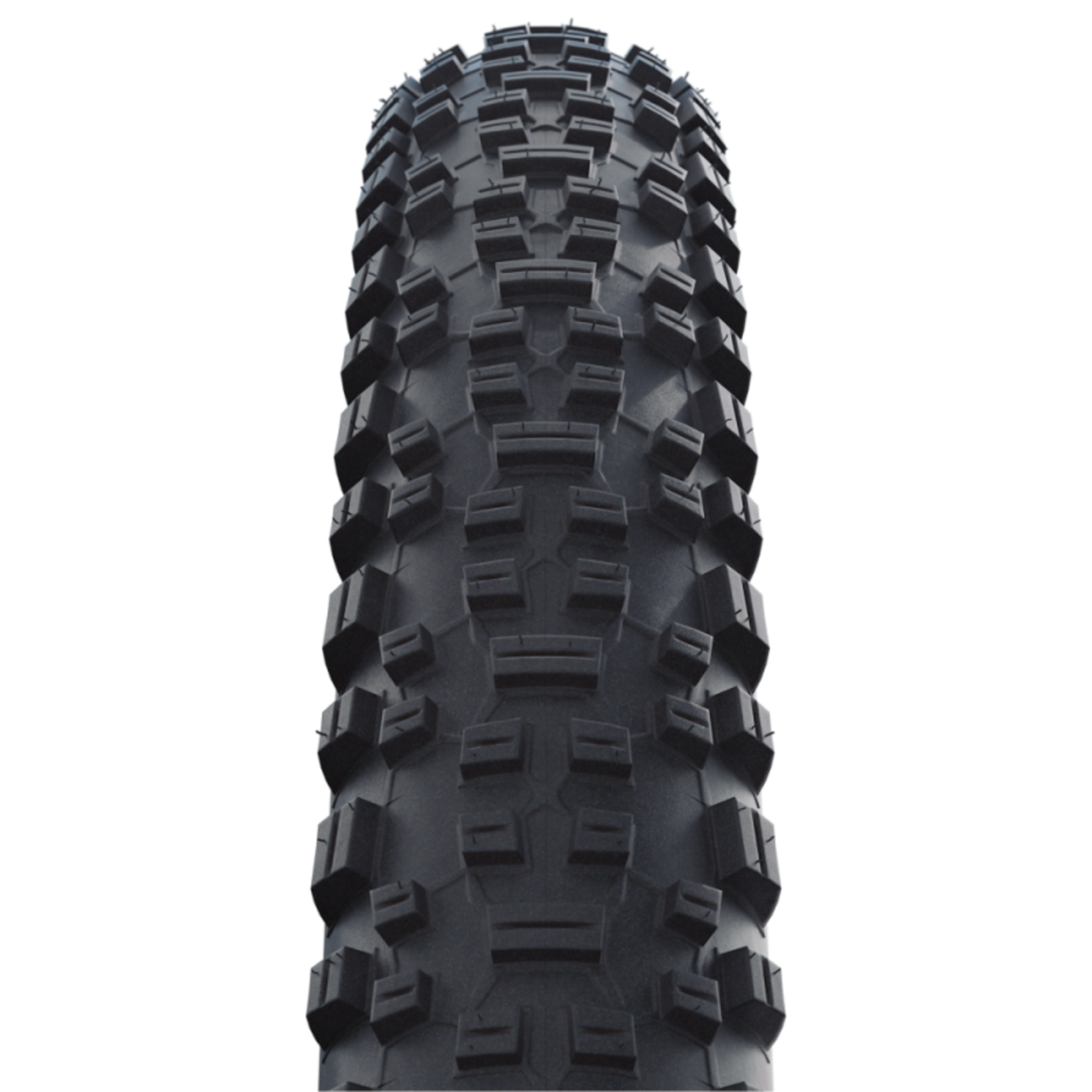 Schwalbe Rapid Rob Tire 29 x 2.10 Kevlar Guard